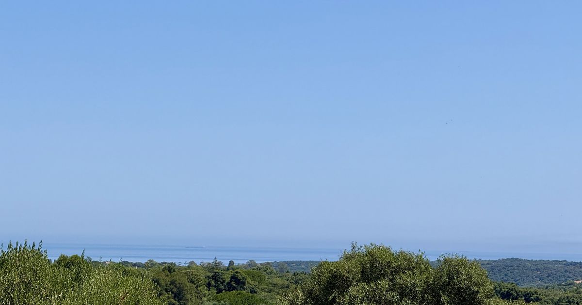 Участок в Sotogrande, La Reserva, Sotogrande, 12/12