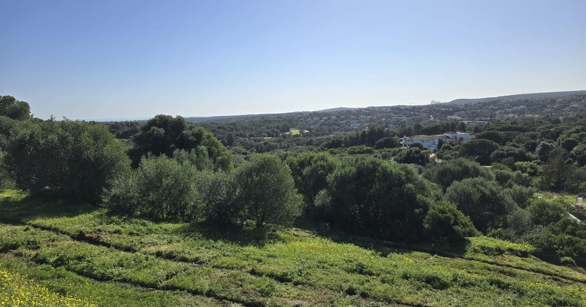 Участок в Sotogrande, La Reserva, Sotogrande, 3/12