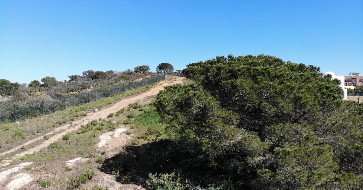 Вилла в Sotogrande, Sotogrande, 12/12