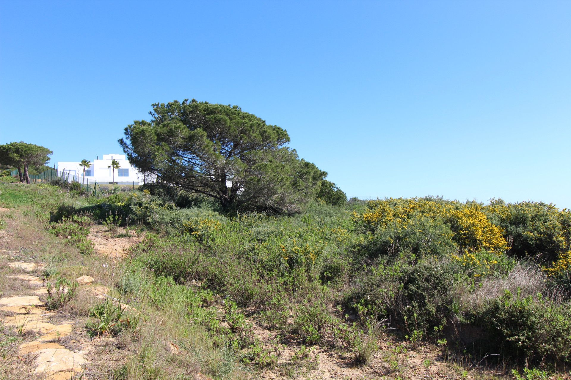 Вилла в Sotogrande, Sotogrande, 10/12
