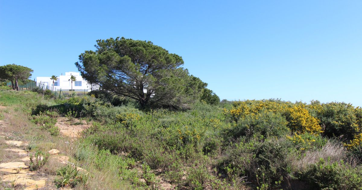 Вилла в Sotogrande, Sotogrande, 10/12