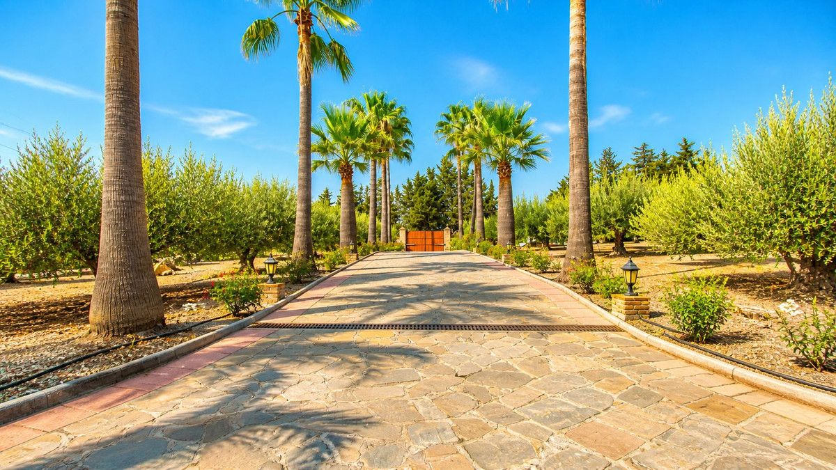 Finca - Cortijo w Estepona, Estepona, 5/12