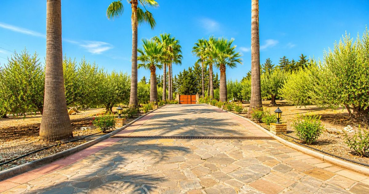 Finca - Cortijo w Estepona, Estepona, 5/12