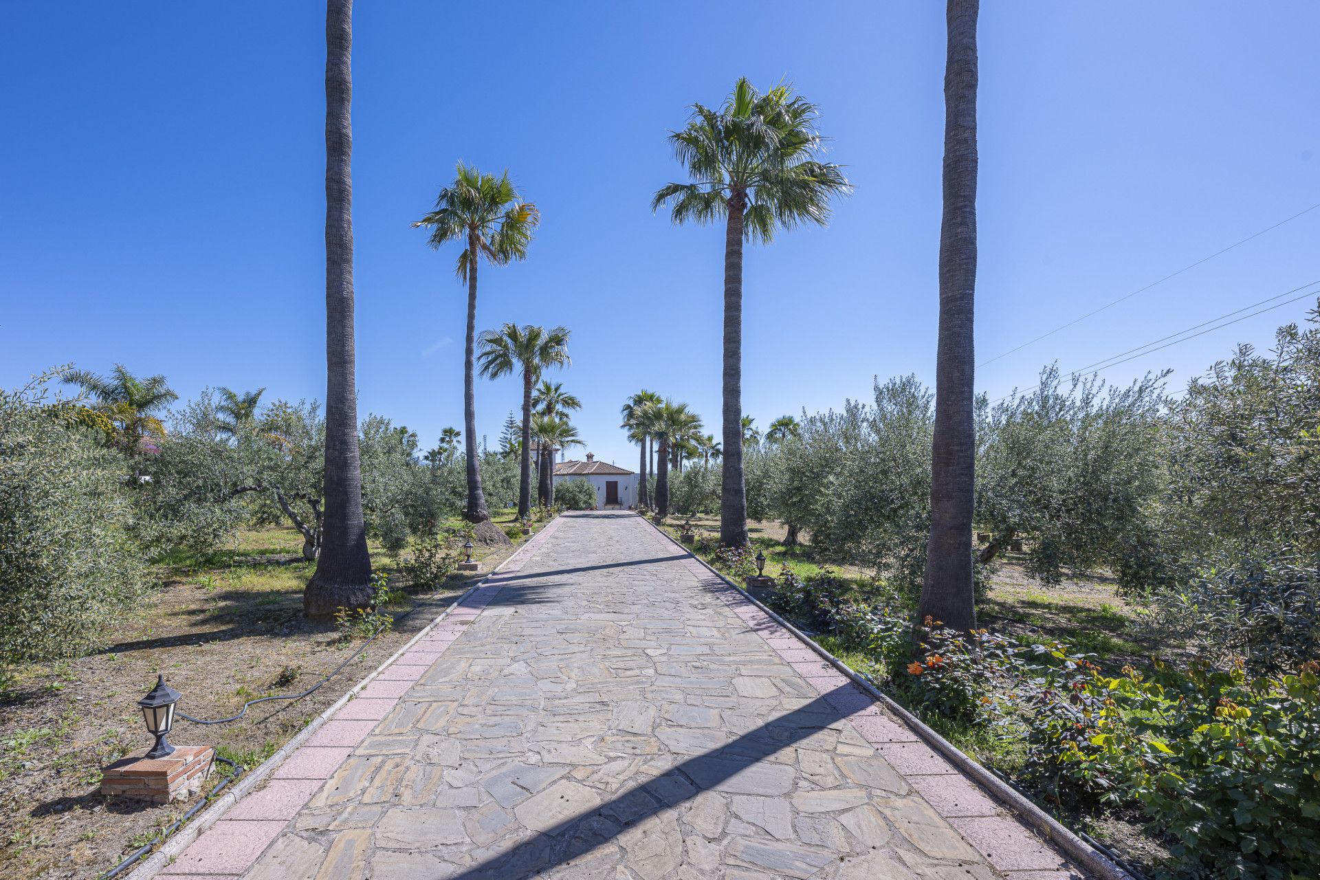Hus i Estepona, El Padron, Estepona, 7/12