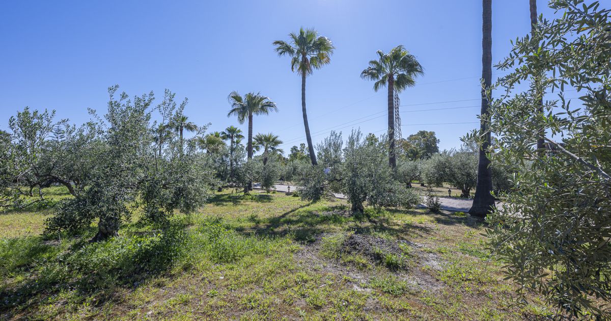 Hus i Estepona, El Padron, Estepona, 9/12