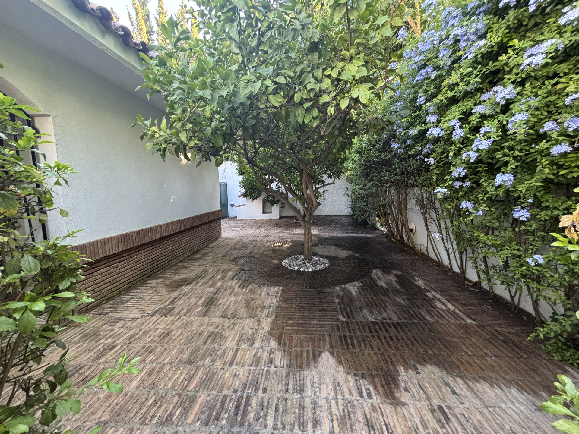 Villa i Marbella East, Los Monteros, Marbella East, 8/12