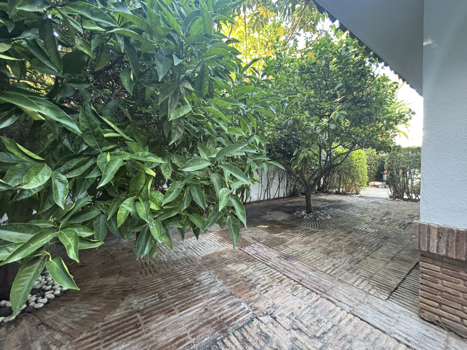 Villa i Marbella East, Los Monteros, Marbella East, 9/12