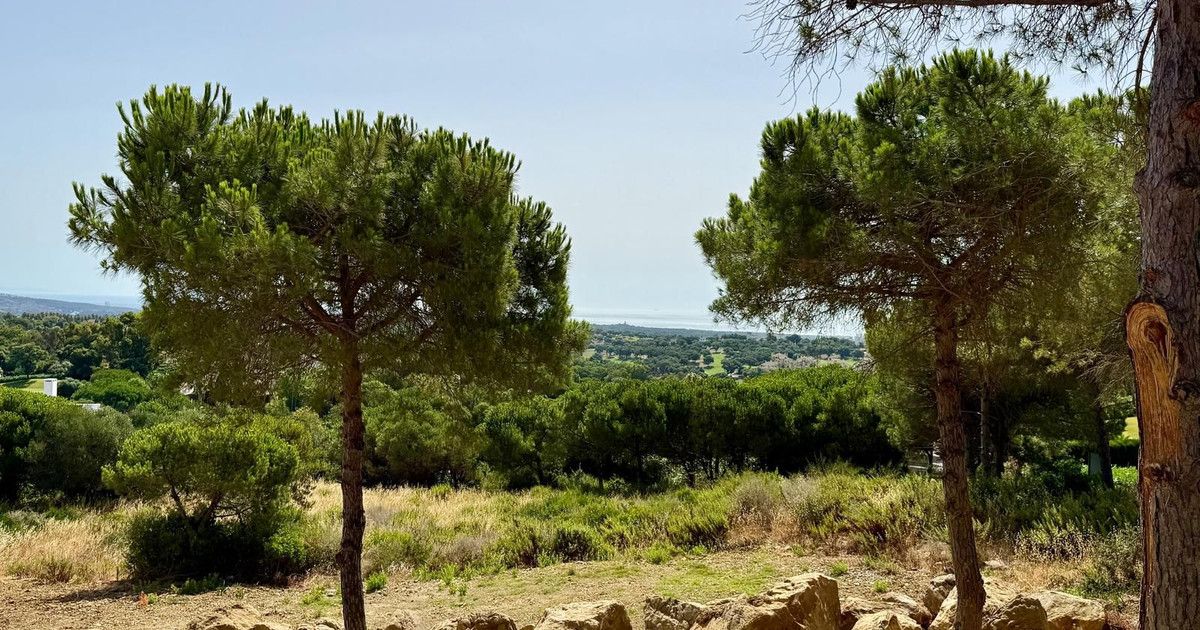 Участок под жилую застройку в Sotogrande Alto, Sotogrande Alto, 6/7