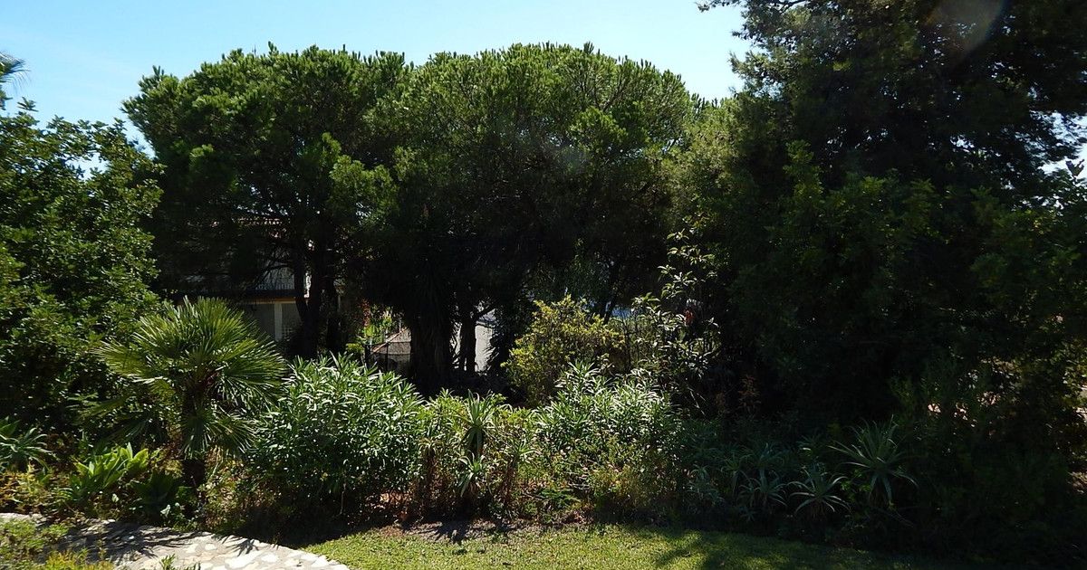 Bostadstomt i Marbella, Marbella, 4/5