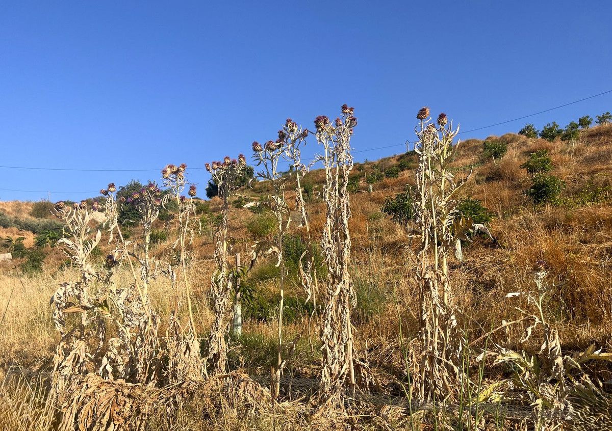 Terreno en Alhaurín el Grande, Alhaurín el Grande, 3/12