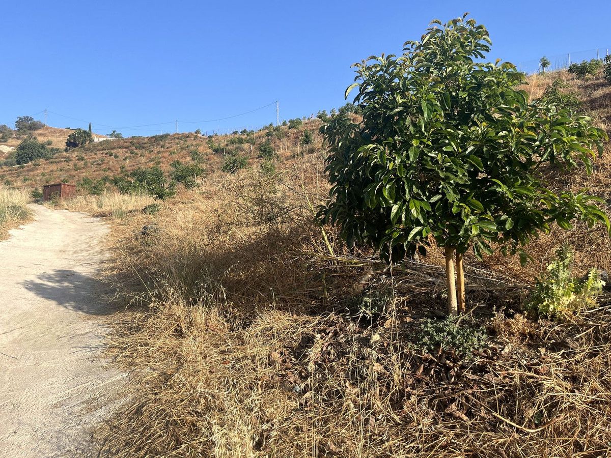 Terreno en Alhaurín el Grande, Alhaurín el Grande, 9/12