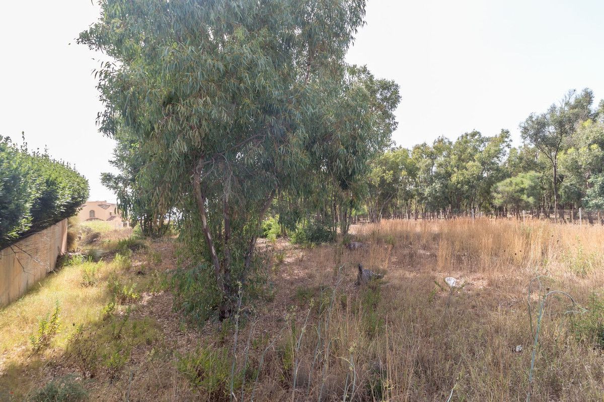 Residential Plot in Manilva, Manilva, 6/12