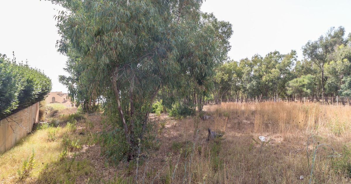 Residential Plot in Manilva, Manilva, 6/12