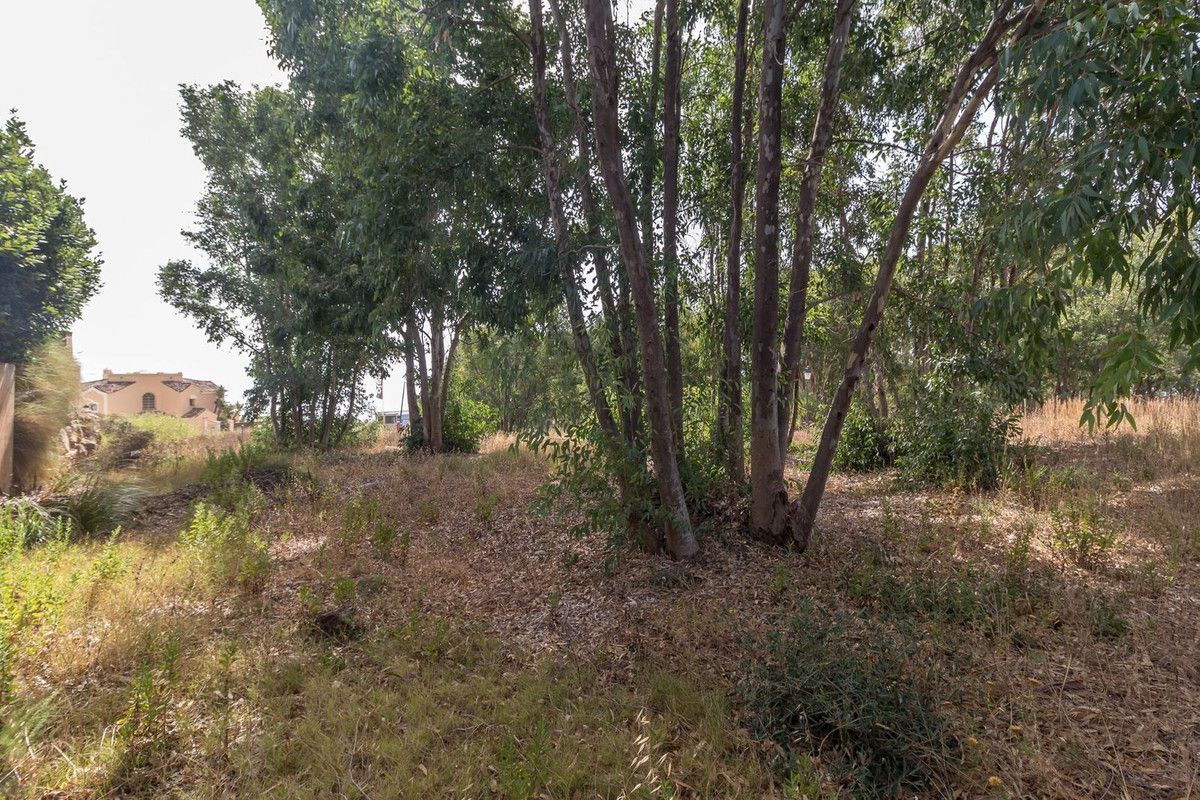 Residential Plot in Manilva, Manilva, 7/12
