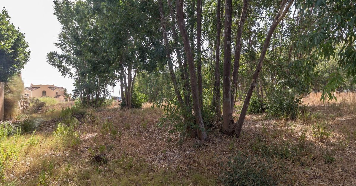 Residential Plot in Manilva, Manilva, 7/12
