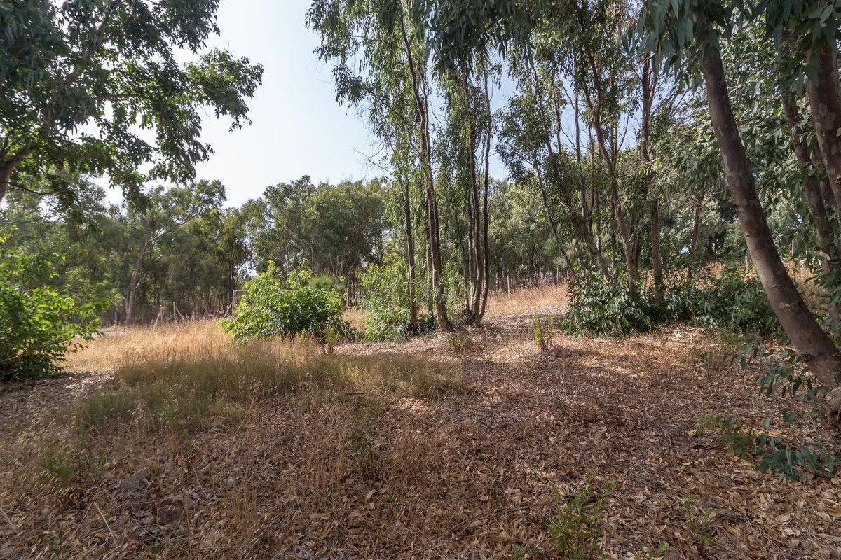 Residential Plot in Manilva, Manilva, 10/12