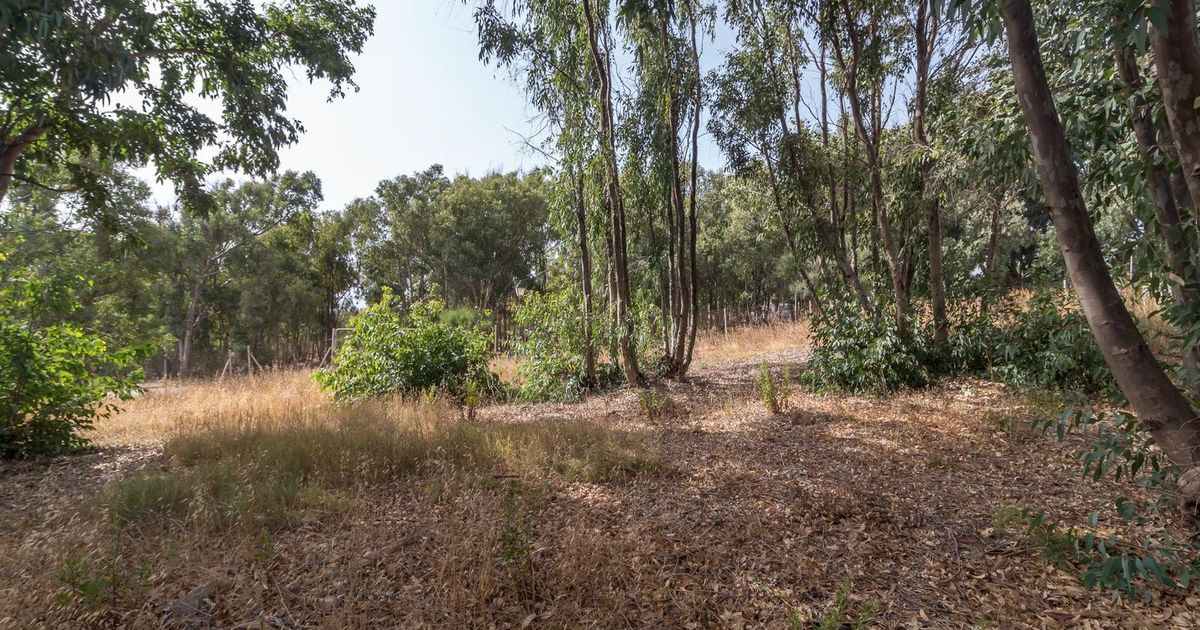 Residential Plot in Manilva, Manilva, 10/12