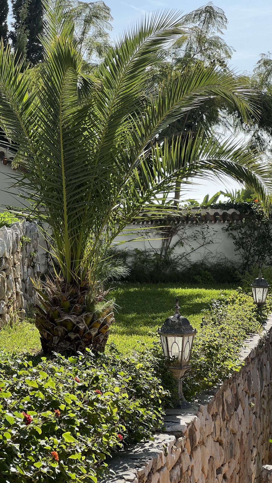 Finca - Cortijo in Mijas, Mijas, 10/12