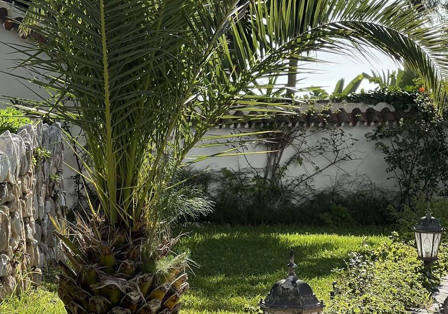 Finca - Cortijo in Mijas, Mijas, 10/12