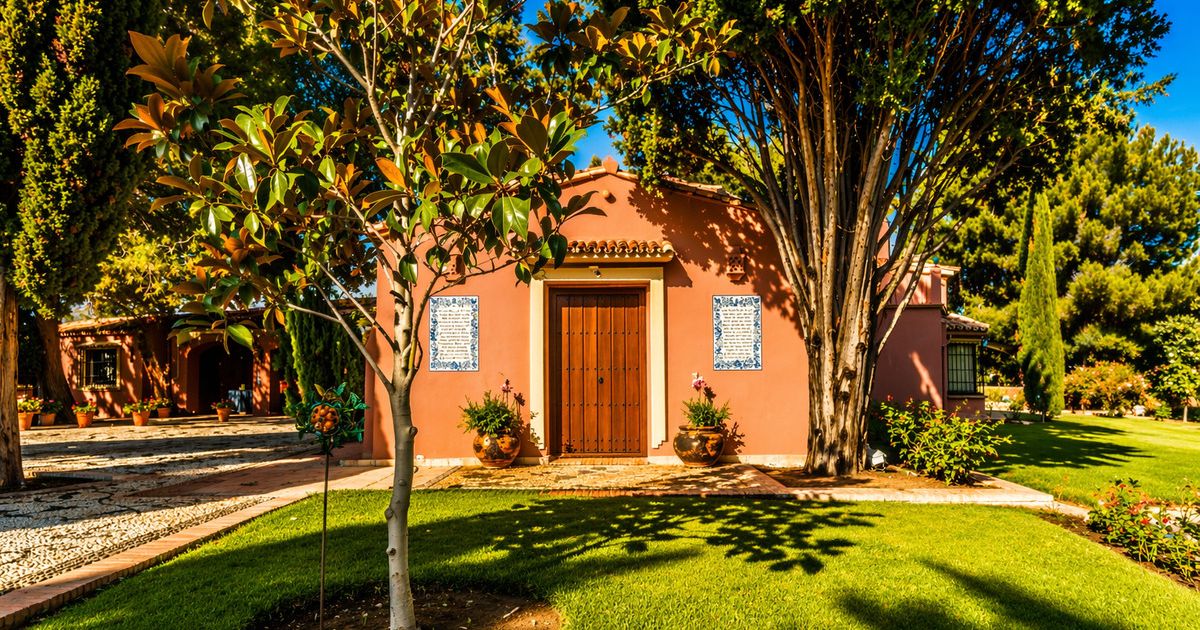 Detached Villa in Guadalmina Baja, Guadalmina Baja, 11/12