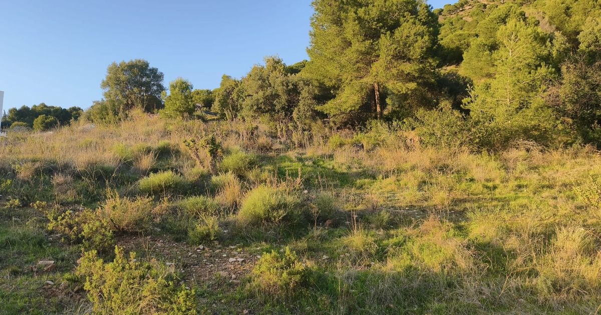 Wohngrundstück in Mijas, Mijas, 6/9