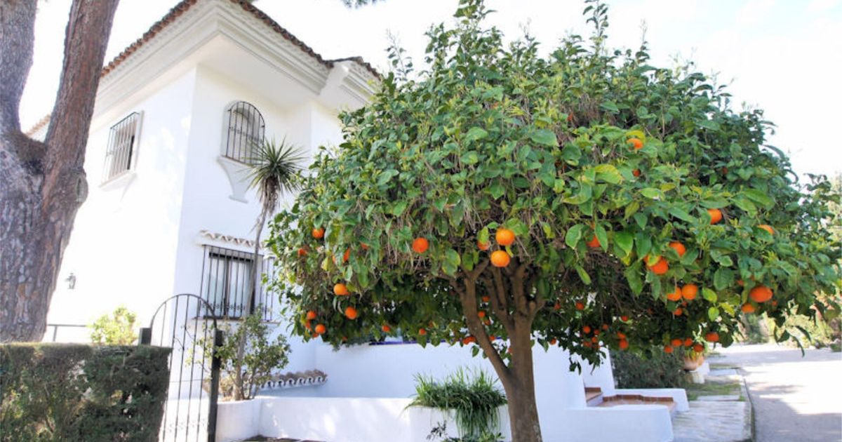 Townhouse in Cabopino, Cabopino, 9/12