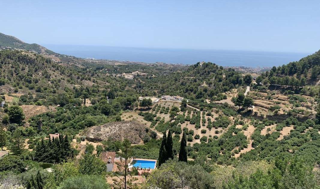 Bungalow in Estepona, Estepona, 7/9