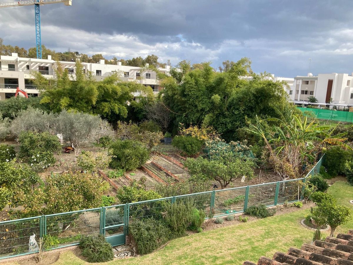 Residential Plot in Casares, Casares, 3/4