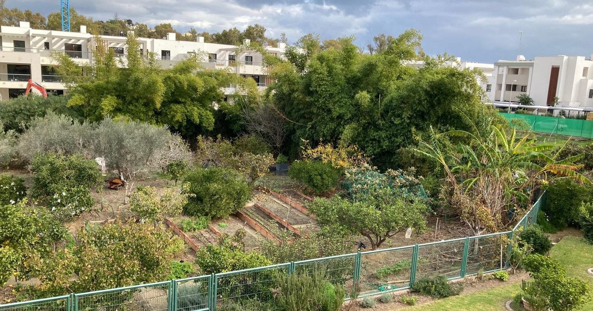 Residential Plot in Casares, Casares, 3/4