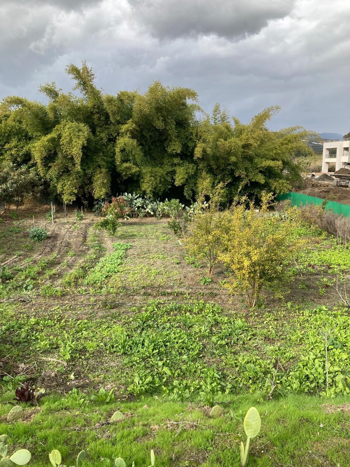 Residential Plot in Casares, Casares, 4/4