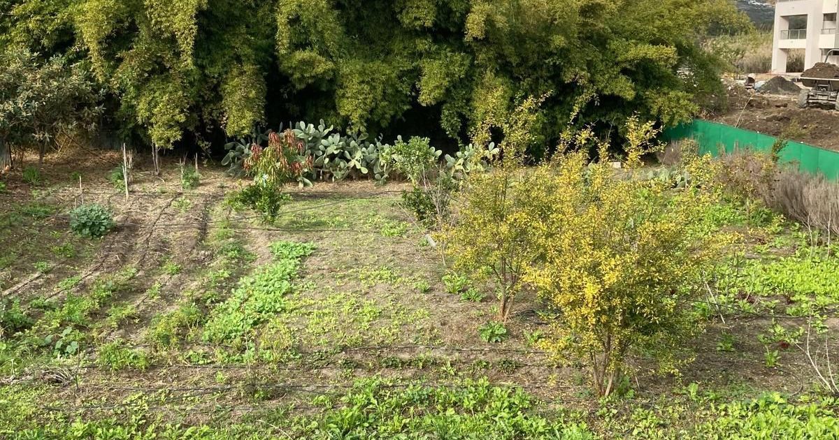 Residential Plot in Casares, Casares, 4/4