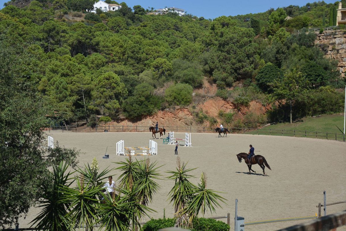 Residential Plot in Benahavís, Benahavís, 3/5