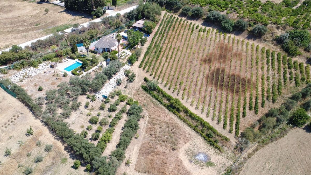Finca - Cortijo i Alhaurín el Grande, Alhaurín el Grande, 4/12