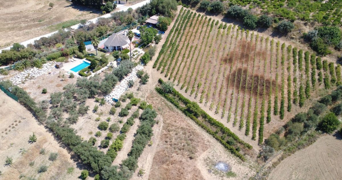 Finca - Cortijo i Alhaurín el Grande, Alhaurín el Grande, 4/12