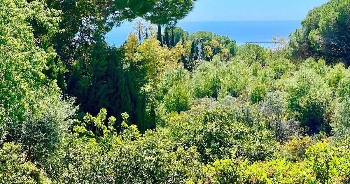 Отдельная вилла в Mijas, Mijas, 5/12