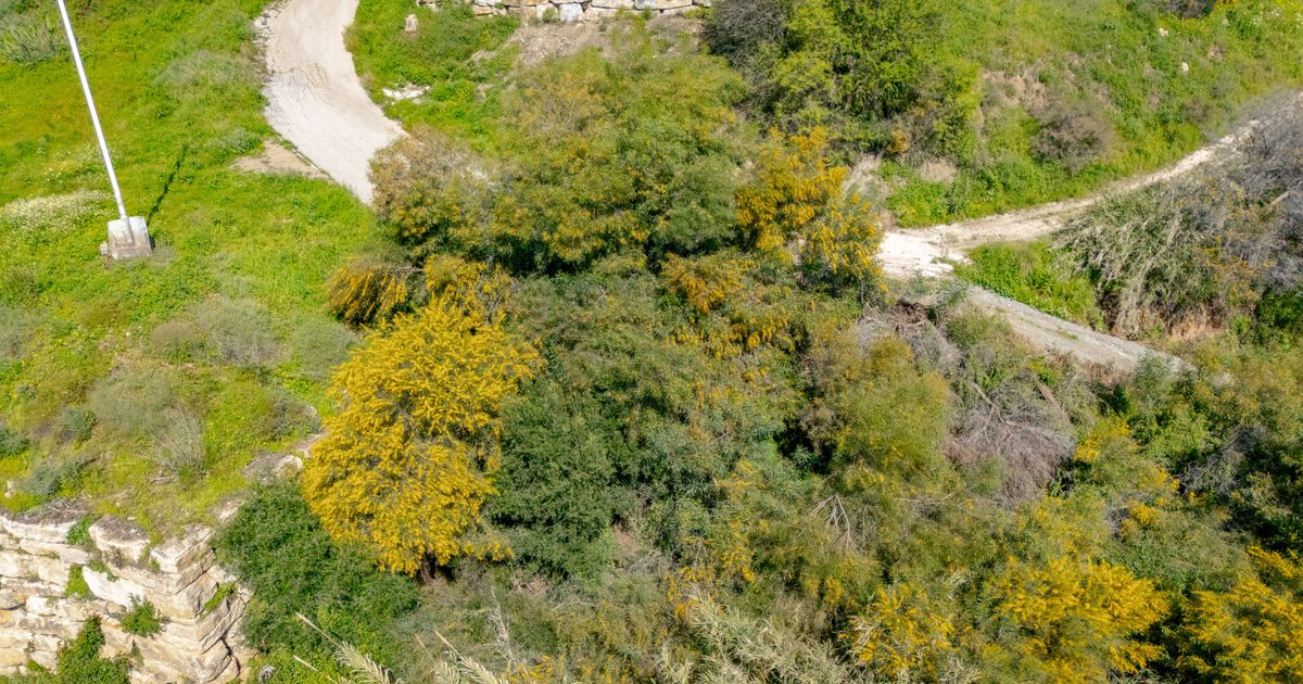 Plot in Benahavis, Los Arqueros, Benahavis, 3/6
