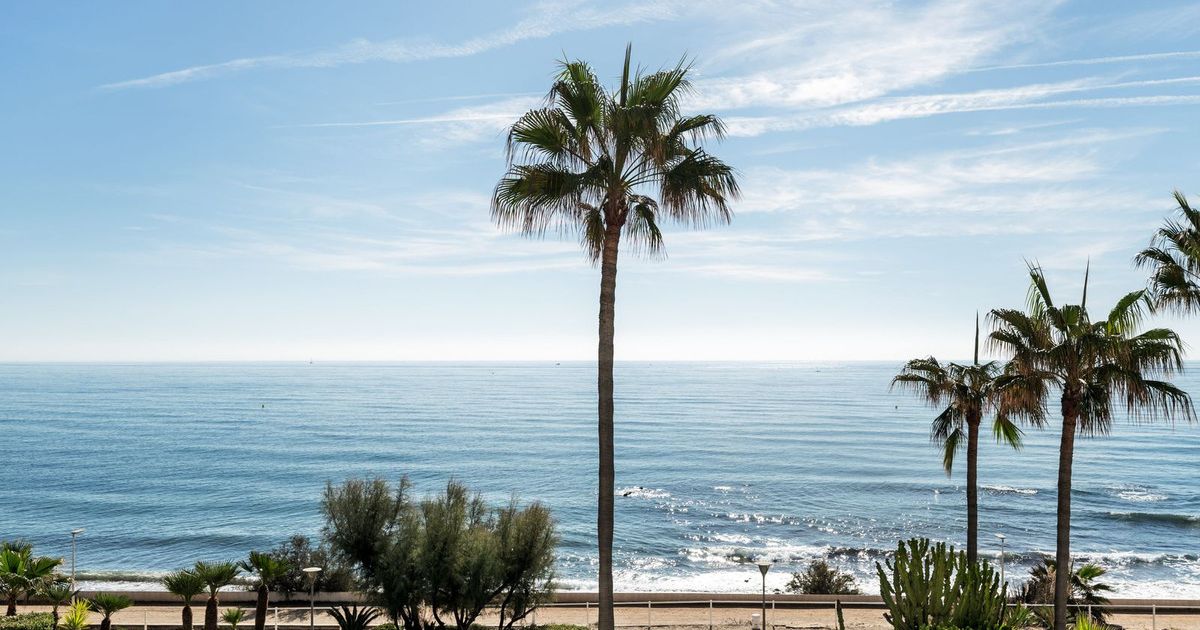 Apartamento en Planta Baja en Estepona, Estepona, 7/12