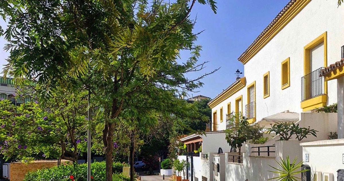 Radhus i Estepona, Estepona, 1/12