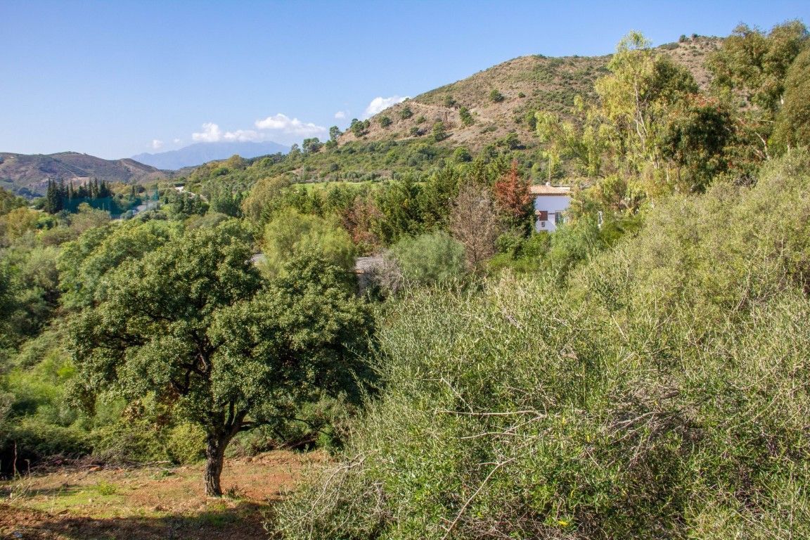 Residential Plot in Benahavís, Benahavís, 6/12