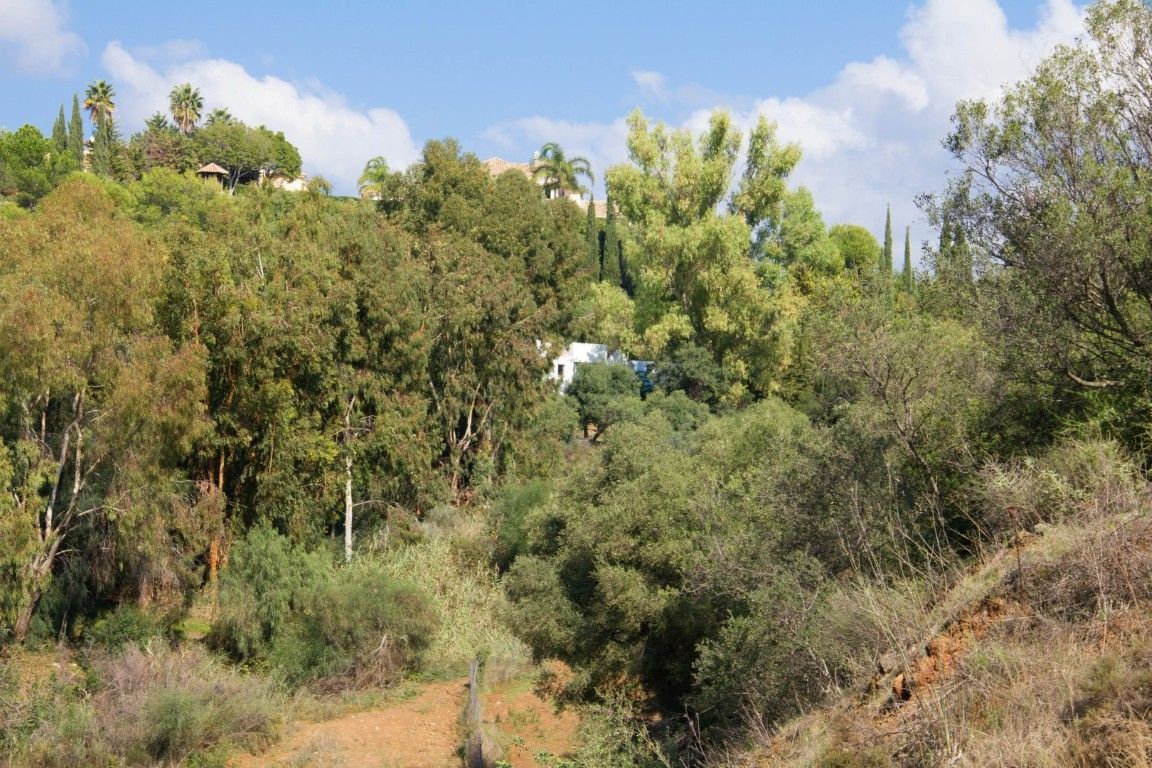 Residential Plot in Benahavís, Benahavís, 10/12