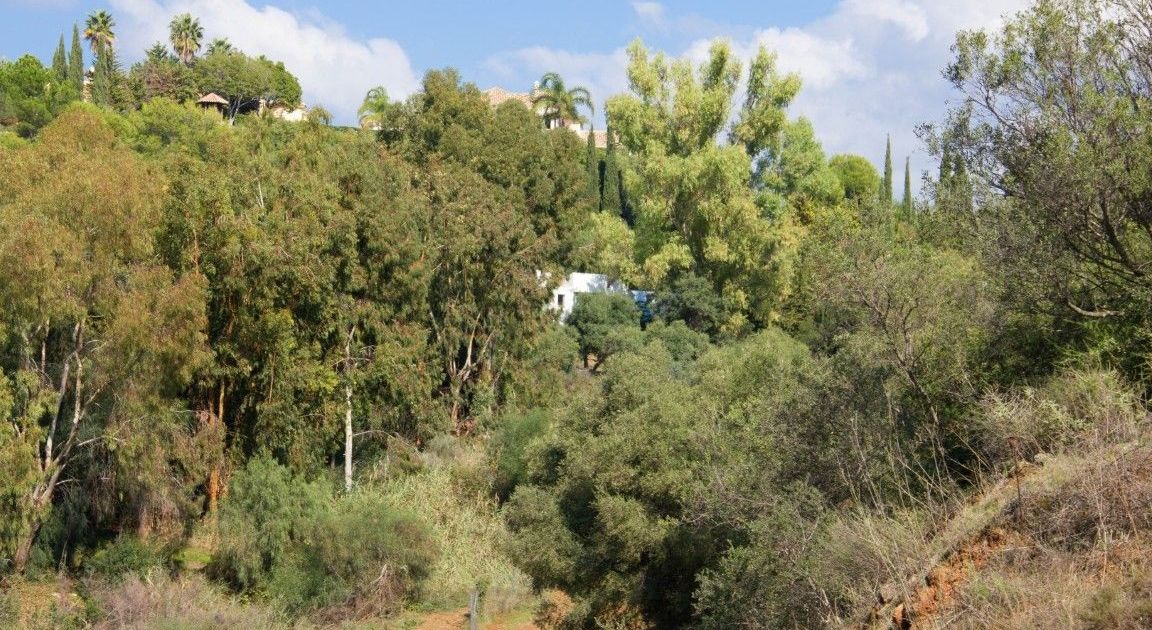 Residential Plot in Benahavís, Benahavís, 10/12