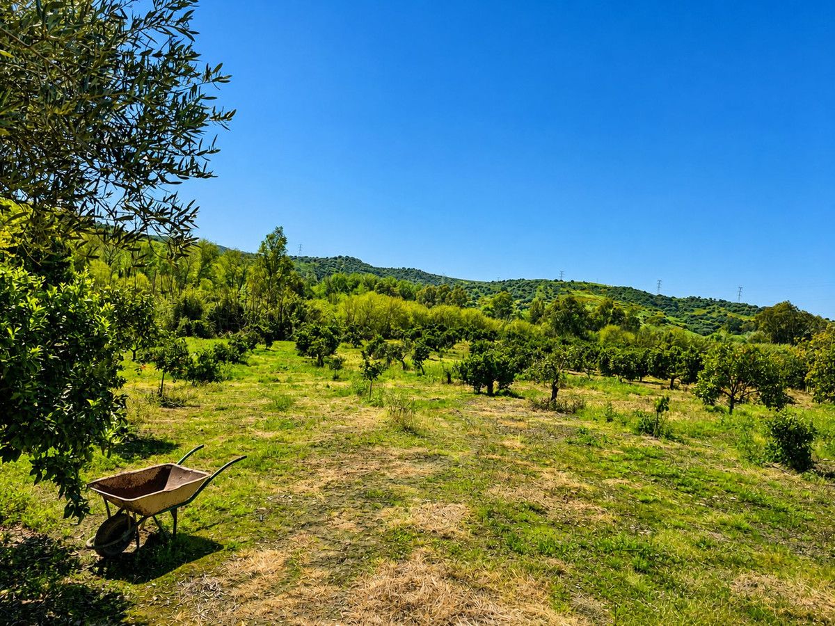 Land in San Martín de Tesorillo, San Martín de Tesorillo, 4/12