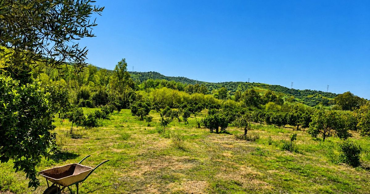Land in San Martín de Tesorillo, San Martín de Tesorillo, 4/12