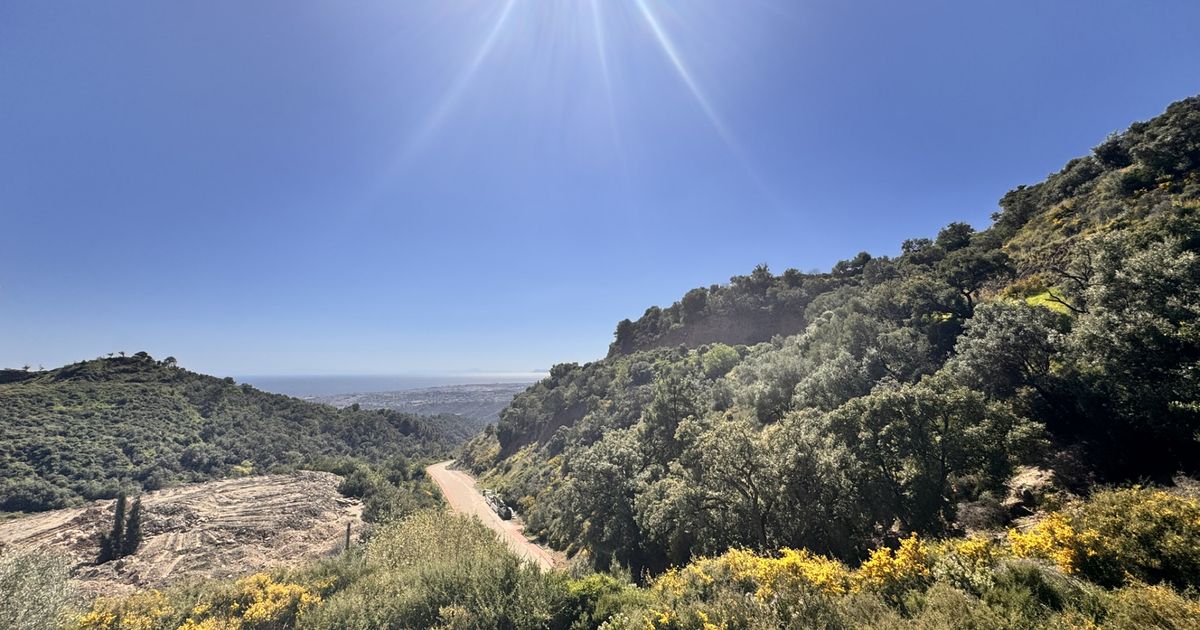 Plot in Istan, Carretera de Istan, Istan, 10/12