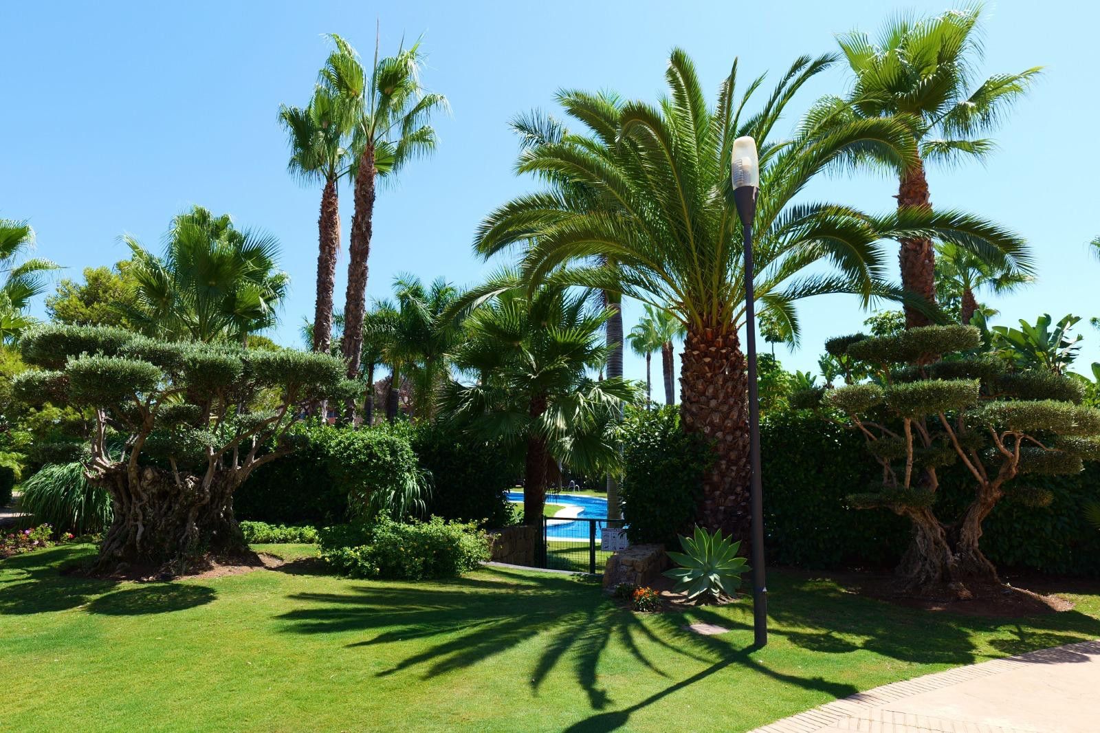 Appartement in Marbella - Puerto Banus, Las Mimosas, Marbella - Puerto Banus, 5/12
