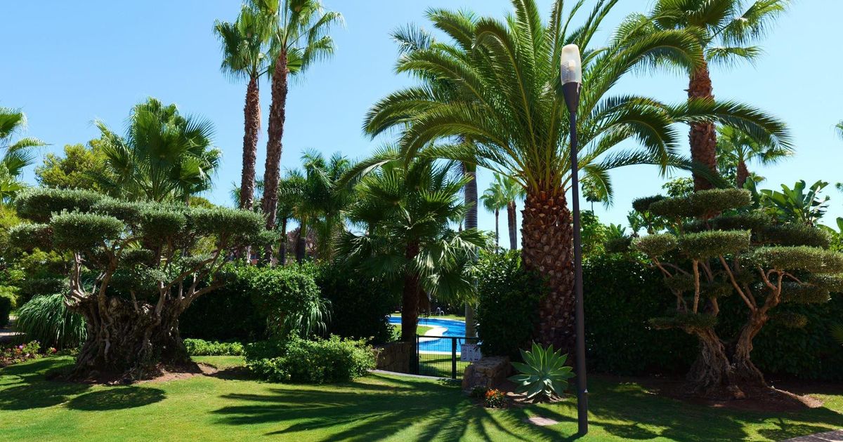 Appartement in Marbella - Puerto Banus, Las Mimosas, Marbella - Puerto Banus, 5/12