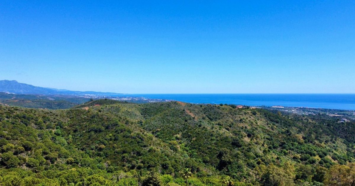 Działka w Estepona, Estepona, 5/6