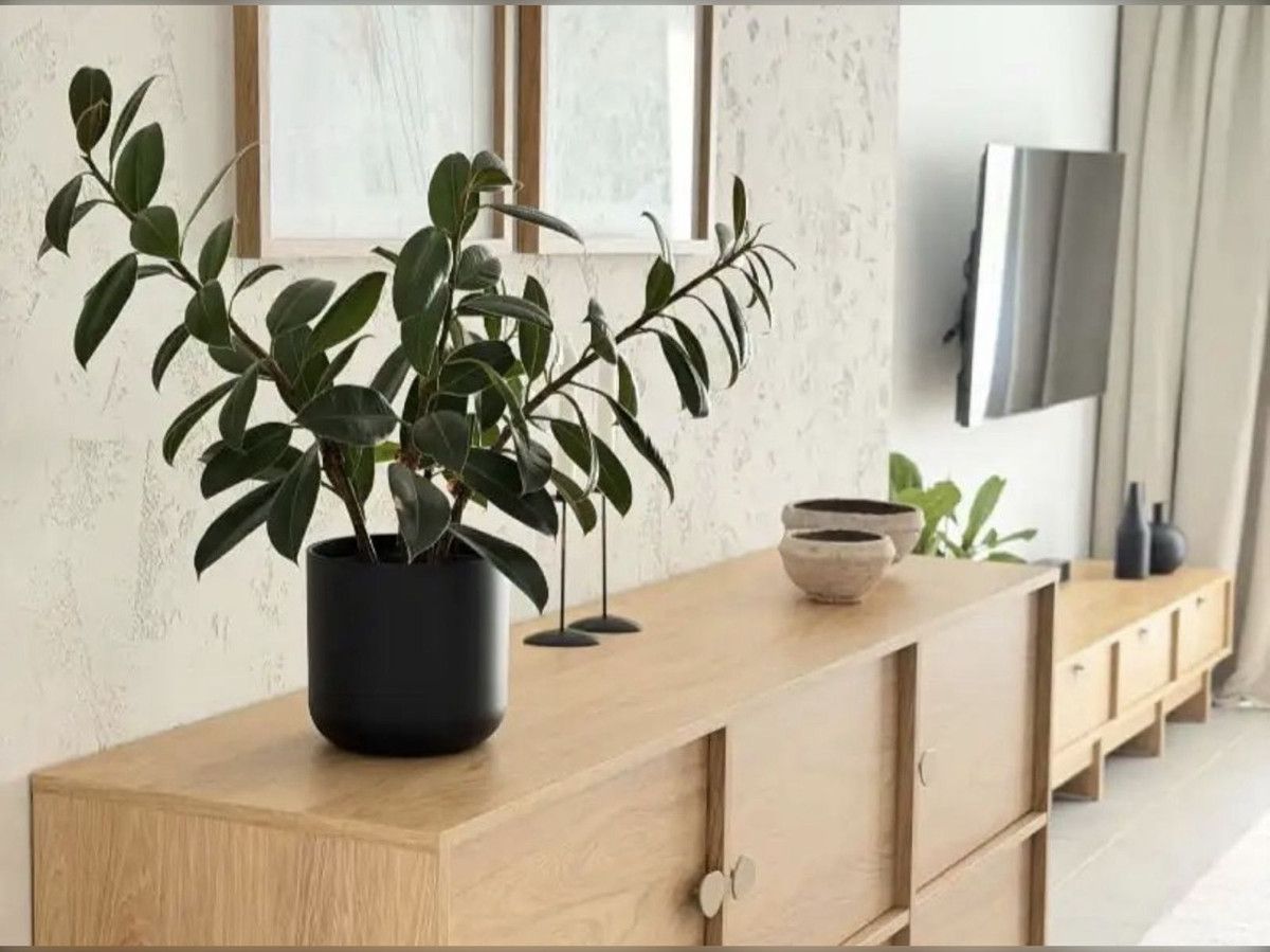 Ground Floor Apartment in Manilva, Manilva, 5/12