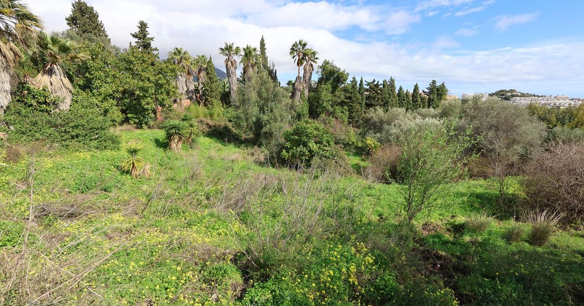 Residential Plot in Mijas, Mijas, 12/12
