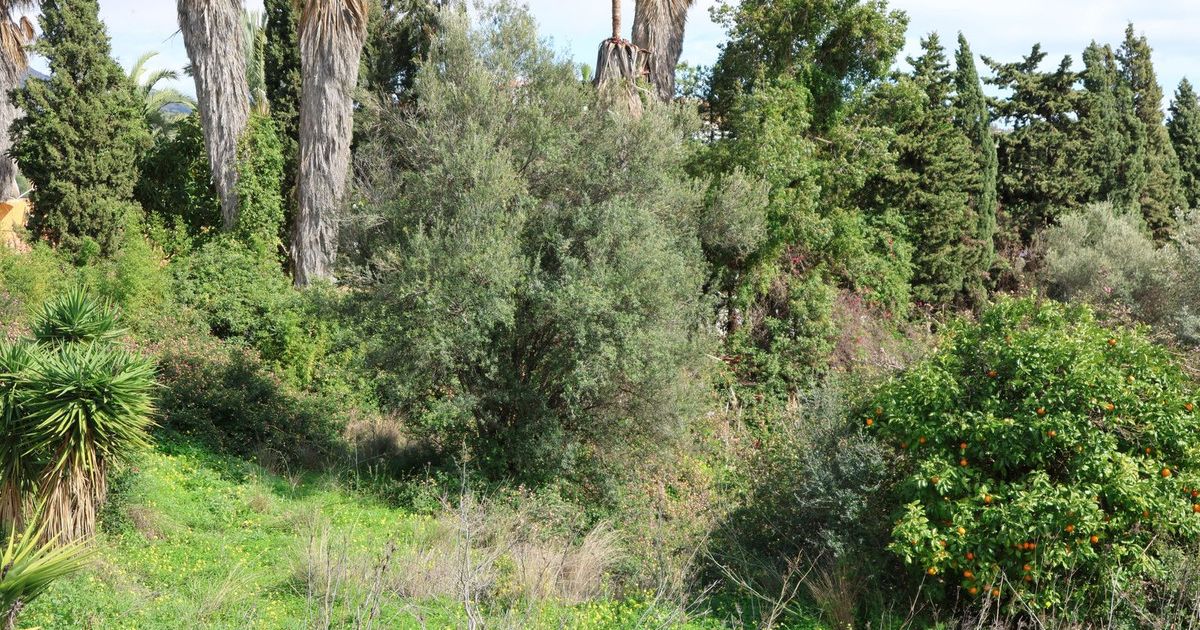 Residential Plot in Mijas, Mijas, 7/12